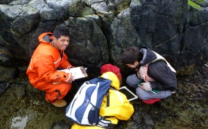 The students are learning about marine ecology by doing it.