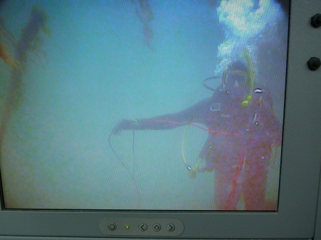 Stuart underwater